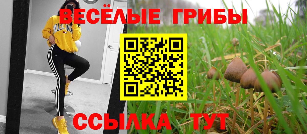 Мирный  Галлюциногенные грибы Psilocybine cubensis  Вход с VPN 